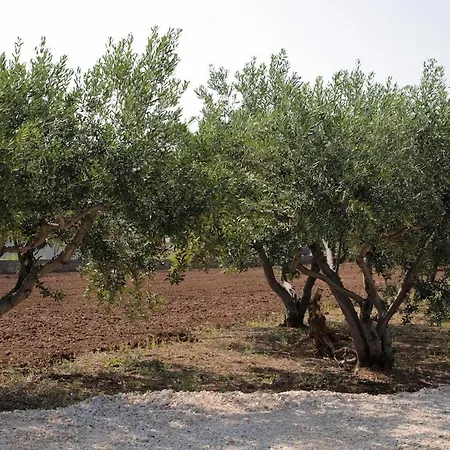 Nyaraló Seaside Retreat *